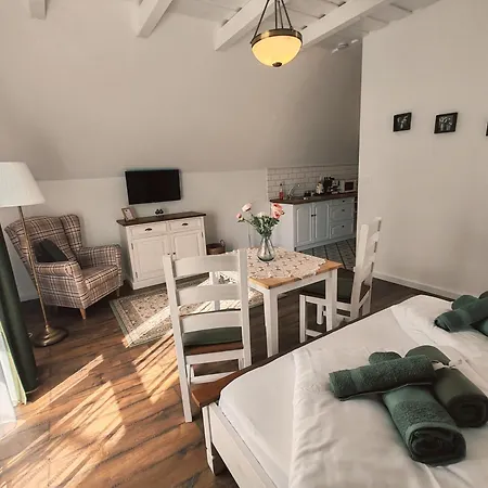 Elisoria Superiors Guest house *